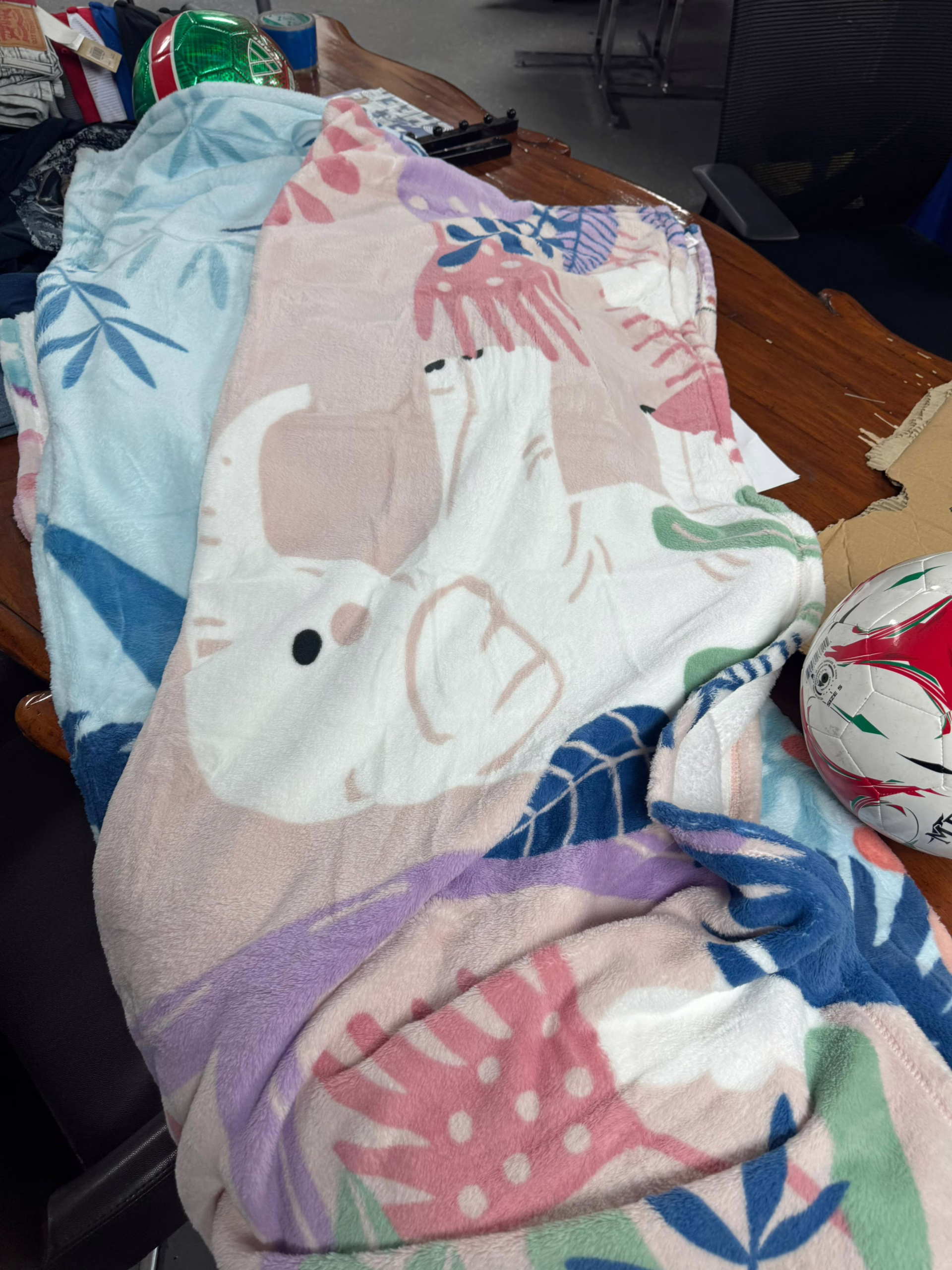Wholesale Lot Of 35,000 Cozy Bliss Premium Kids Blankets - MSRP $36.00 Each - Your Price Is Only $2.50 Each - Image 10