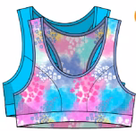 Wholesale Lot Of Maidenform And Hanes Girls And Junior Bras And Sports Bras - Over 640,000 Units Available- Please Contact Me For The Manifest