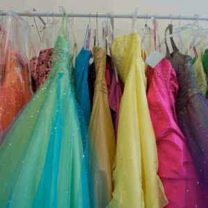Wholesale Lot Of 1,000 Brand New Prom Dresses - Sizes 0-14 - Suggested Retail Values To $200 Each - Your Price Is Only $29 Each - Free Shipping