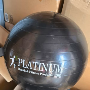 Wholesale Lot Of 165 Platinum Exercise Balls – Your Price $5 Each