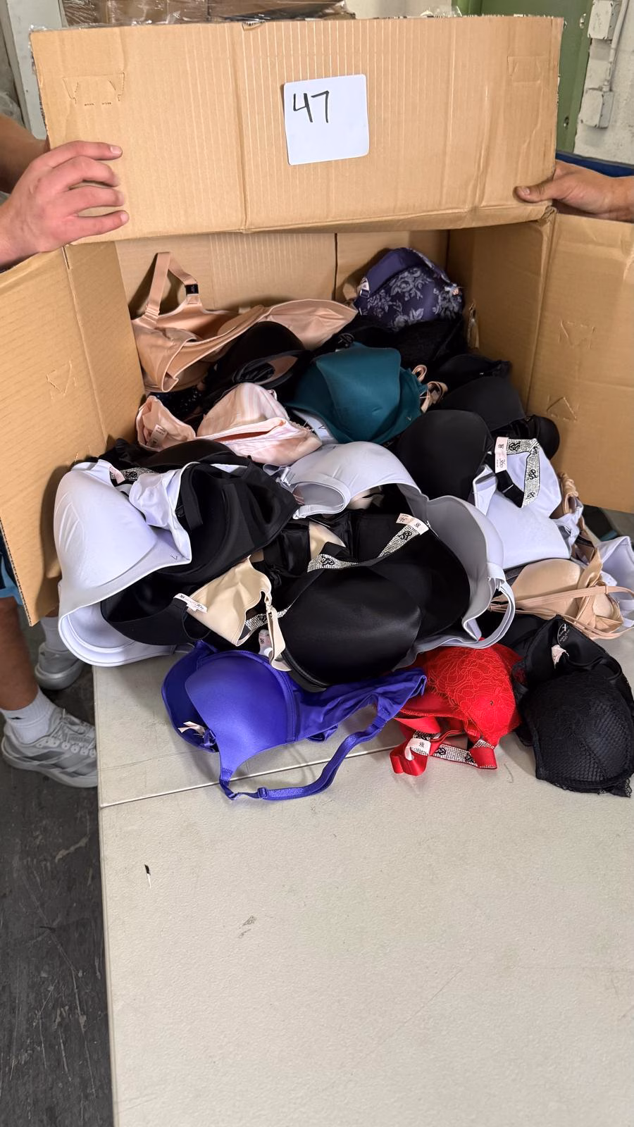 Wholesale Lot Of 22,699 Pieces Of Victoria’s Secret Bras, Panties & Apparel – Manifest Available – Only $4.00 Each - Image 6