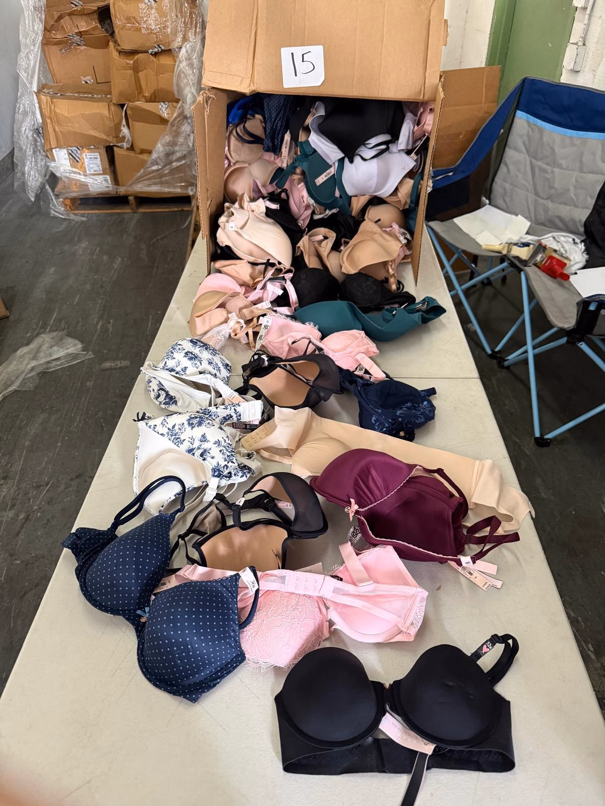 Wholesale Lot Of 22,699 Pieces Of Victoria’s Secret Bras, Panties & Apparel – Manifest Available – Only $4.00 Each - Image 11